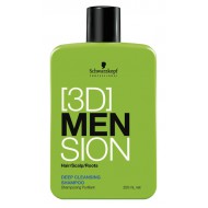 [3D] MENsion Deep Cleansing Shampoo 250 ml.