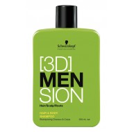 [3D] MENsion Hair & Body Shampoo 250 ml.